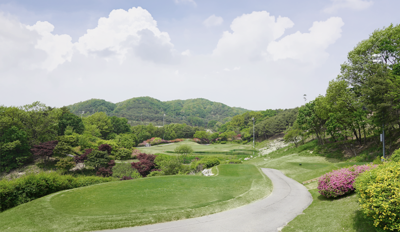 8홀 전경