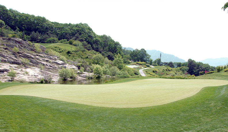 8홀 전경