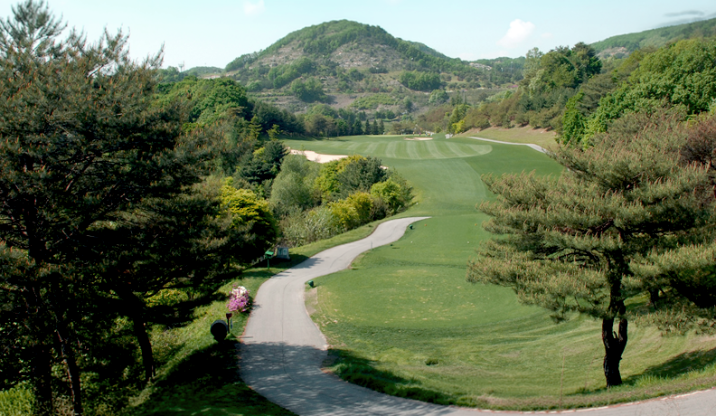 5홀 전경